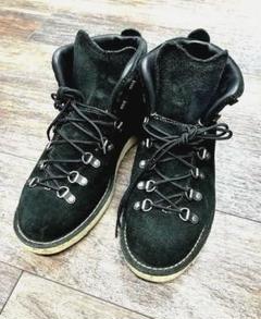 Danner ダナー MOUNTAIN LIGHT 28㎝ US10 BLK Danner - Mountain Light Brown - GORE-TEX