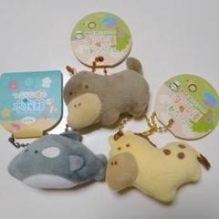 2025年最新】つぶらな瞳の動物園 ぷちの人気アイテム - メルカリ