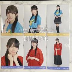 乃木坂46 大越ひなの 静岡Tシャツ メッシュニット 6種コンプ 生写真