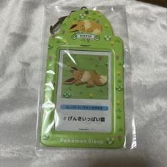 ポケモンスリープ　渋谷　限定　イーブイ　カードケース ポケスリ