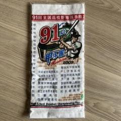 甲子園　ハンドタオル　高校野球　第91回全国高校野球選手権大会のサムネイル