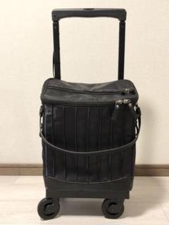 スワニー キャリーバッグ【D-371 リニーエII (M21) の以前のモデル】