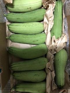 お得用 沖縄県産 ハウスへちまEM栽培10kg
