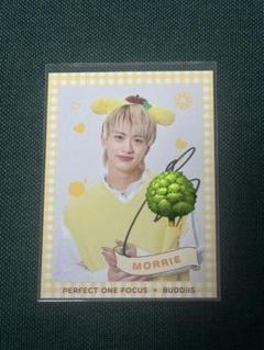 BUDDiiS MORRIE トレカ 3枚セット サイン入り BUDDIIS SHOOT ブロマイド3枚セット サイン入り - メルカリ