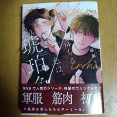 落ちる色は、琥珀色