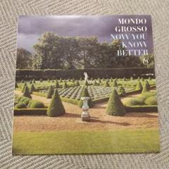 Amazon.co.jp: ROSSO Emissions LP アナログ盤 チバユウスケ