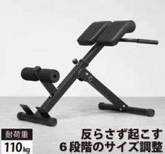 リーディングエッジ LEADING EDGE バックエクステンションベンチ