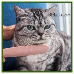大人気! 猫の舌マッサージ櫛★ 洗える ペット グルーミングブラシ 肌色