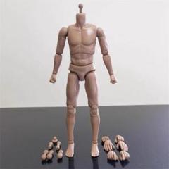 六分の一男子図鑑 B2410 ナイン PS - PetWORKs Store