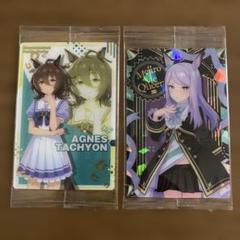 ウマ娘 ウエハース 勝負服 箔押し レア アグネスタキオン 33枚セット Amazon.co.jp: A CG ウマ娘 箔押し アグネスタキオン カード