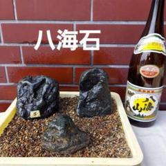 八海山 水無渓谷 八海石(32kg) 八海山 水無渓谷 八海石(15.3㎏)