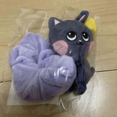 RIIZE ウォンビン トニャンドク ペンライトカバー シュシュセット RIIZE ウォンビンペンラカバーキーリングシュシュ