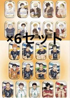 ハイキュー‼︎ スクエア缶バッジ セット クールダウン おすわり セブンネット限定