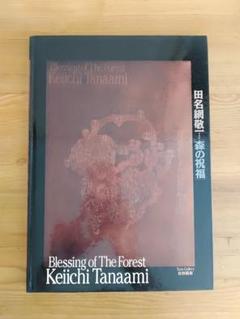 田名網敬一 版画集 森の祝福　図録