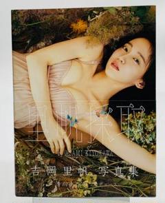 中古 吉岡里帆 写真集 里帆採取 - メルカリ
