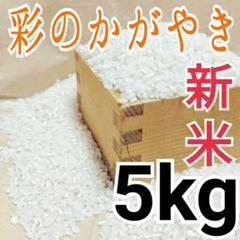 無洗米OK 令和2年度 埼玉県産 新米彩のかがやき 白米5kg 精米料込み