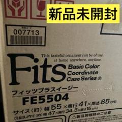 フィッツプラスイージー FE-5504CAP 新品未開封