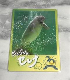 【レア】鳥羽水族館 ジュゴン セレナ キラキラ コレクションカード コレカ 鳥羽水族館 ジュゴン セレナ コレクションカード レア キラ