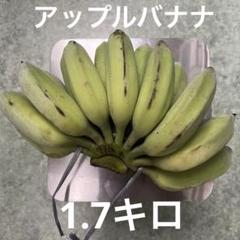 アップルバナナ　9キロ アップルバナナ 1.7キロ - メルカリ