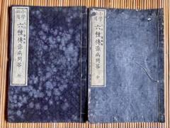 小学必要 久保良斎 編 六種伝染病問答 全2冊セット 明治14年刻生