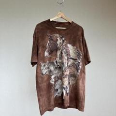USED USA古着 ザマウンテン インディアン Tシャツ 茶色 vintage