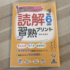 新品 カバー付き 読解習熟プリント 小学6年生