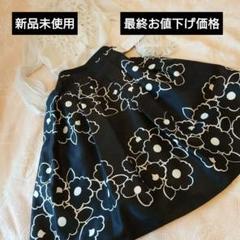 新品未使用カタログ掲載スカート エムズグレイシー
