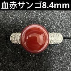 【今日の超目玉】 PT900 ダイヤモンド0.25ct血赤サンゴ8.4mm リング9.5号 アクセサリー