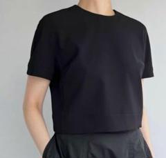 シートーキョーshe tokyo★LIN WHITE　バックリボンブラウス未使用 シートーキョーshe tokyo☆LIN WHITE バックリボンブラウス未