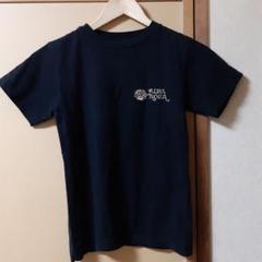 ♡ALBA ROSA♡黒×ヒョウ柄 ハイビスカスロゴ Tシャツ
