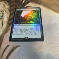 MTG 森の知恵 Foil DMR 全面アート 英語 ③ ミントモール / MINT GAMES MTG(東日本橋) / 【DMR】【JPN
