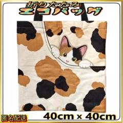 【折りたたみ✧エコバッグ】三毛猫☆トートバッグ☆サブバッグ☆ねこ☆猫☆ネコ☆新品