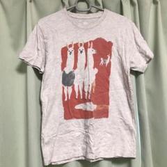 グラニフTシャツ　レディースSサイズ