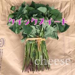 Y様専用50本クイック