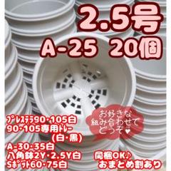 プラ鉢【A-25】20個 スリット鉢 プレステラ 多肉植物
