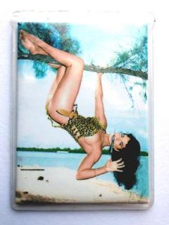 Taschen 50年代ピンナップガール　写真集　ベティ・ページ他 Amazon.co.jp: THE REAL BETTIE PAGE ベティペイジ ピンナップ