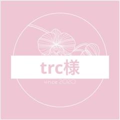 入園　入学　通園　男の子　絵本バッグ　上履き入れ　車　チェッカー　ストリート
