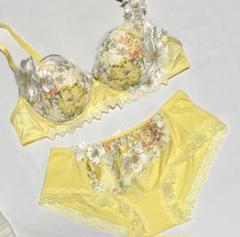 新品　サルート　ダリア刺繍　イエロー　ブラジャーE75ソングМセット ワコール サルート92グループPアップブラソングセット(イエロー