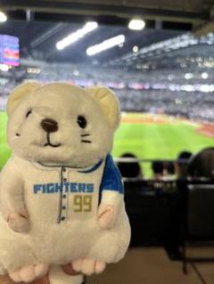 エスコン限定 選手くじ　オコジョぬいぐるみ　3等レイエス選手　4等伏見選手 ゆめのと on X: 