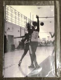 絶版‼️ Ari Marcopoulos 限定100部 写真集