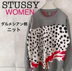 希少デザイン】STUSSY ステューシー 豹 アニマル柄 ニット