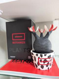 MEDICOM TOY - BOTANIZE×MEDICOM TOY×BEAMS グラキリス トイ Amazon.co.jp: MEDICOM TOY × BOTANIZE 植物フィギュア, グロス
