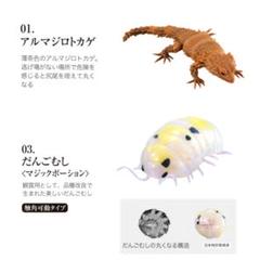 2025年最新】だんごむしとアルマジロトカゲの人気アイテム