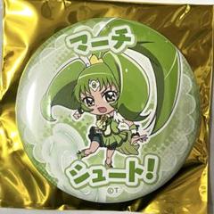 キュアフレンディ 缶バッジ17個セット プリティストア出張店 プリティストア出張店限定 変身口上缶バッジコレクション キュア