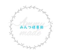 みんつ様専用■1/2