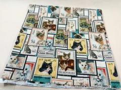 確認用！約50年前の猫切手セット5枚と1枚シート 楽天市場】[全品5%OFFクーポン☆7/25限定]猫 ケージ スターター