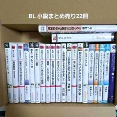 BL文庫小説 まとめ売り22冊セット - メルカリ