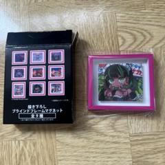 寺田てら描き下ろしブラインドフレームマグネットコンプリートセット