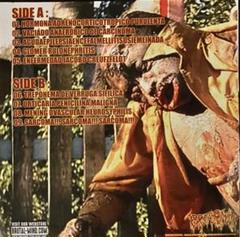 VISCERA INFEST ゴアグラインド奇形児柄 2025年最新】Viscera infestの人気アイテム - メルカリ