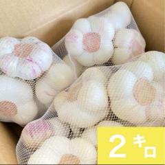 生ニンニク　福地ホワイト六片　5kg LとLLサイズ 青森県産にんにく（福地ホワイト六片）Lサイズ5kg 約15玉×5 青森